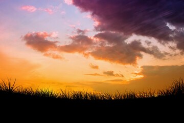 Obraz premium Silhouetted grasses are swaying across field beneath vibrant sunset sky with clouds in flat design