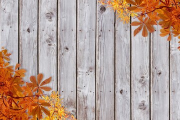 Fototapeta premium Illustrating weathered wooden planks in flat design, framing with orange yellow autumn leaves