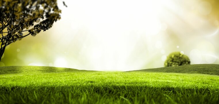 Fototapeta flat design rolling green hills is showing sunlight rays across sky framing tree trunk and shrub