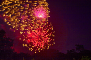 Pink and purple night sky with beautiful fireworks exploding over the tree tops celebrating the 4th of July
