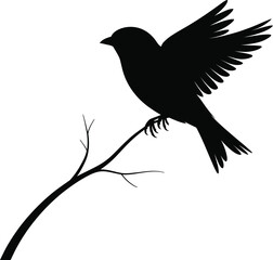 Vector black silhouette of a animals on a white background