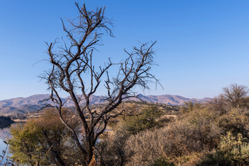Paysage de la Namibie