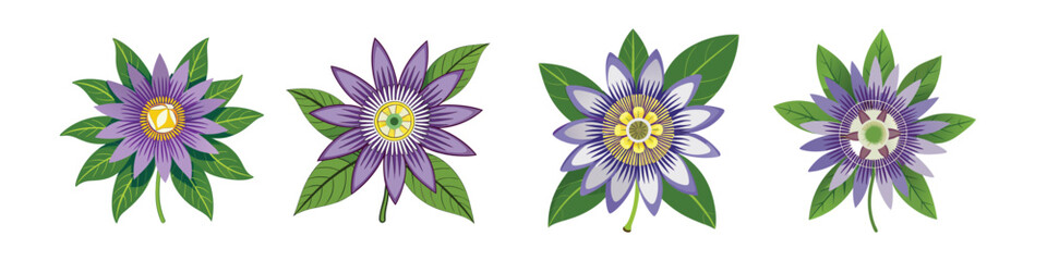 Passionflower Flat Illustration in Simple Minimalist Flat Style