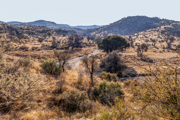 Paysage de la Namibie