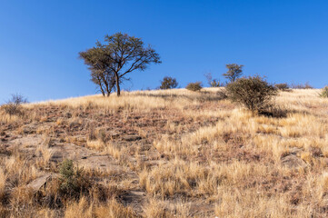 Paysage de la Namibie