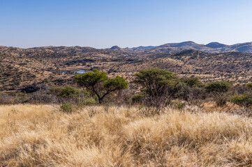 Paysage de la Namibie