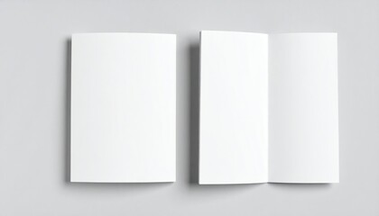 Blank White A4 And Tri-Fold Brochure Mockup On Gray Background Presentation Template Isolated Background
