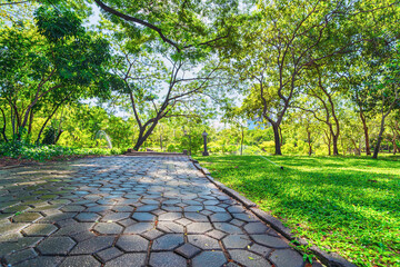 Chatuchak park in Bangkok city 