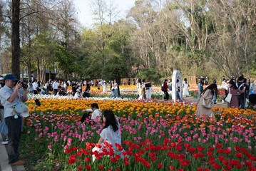 children playing in a park