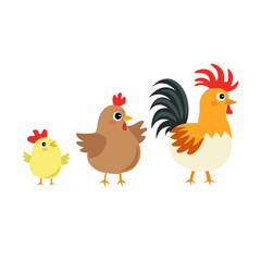 Adorable vector illustration of a chicken family: chick, hen, and rooster. Great for educational content, farm-themed designs, and children’s learning materials.