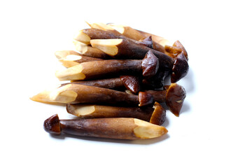 Termite mushrooms with long stems, white tips, and dark brown caps.