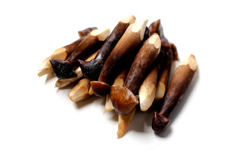 Termite mushrooms with long stems, white tips, and dark brown caps.