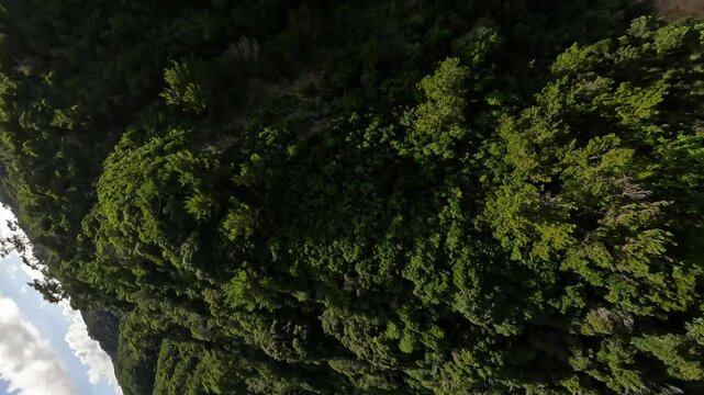 Bird's eye view of flying above beautiful sea in Okinawa in the afternoon