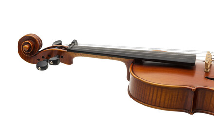 Classical wooden violin neck and scroll isolated on white background