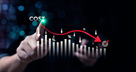 Cost reduction strategy for business efficiency and financial management, budget optimization,...