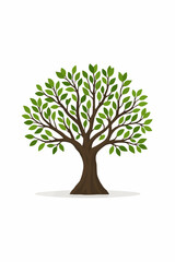 green tree isolated on white
