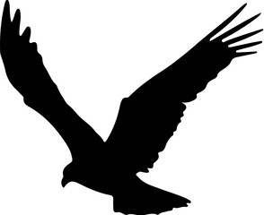 silhouette of a eagle
