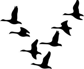 Fototapeta premium set of silhouettes of birds