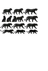 Majestic Tiger in Natural Pose – Powerful Wild Animal on Isolated Background