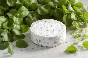 cottage cheese with fresh herbs