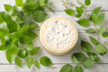 cottage cheese with fresh herbs