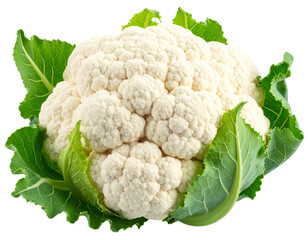 cauliflower clipart image on transparent background.