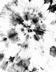 Abstract Black and White Tie Dye Pattern with Intricate Details