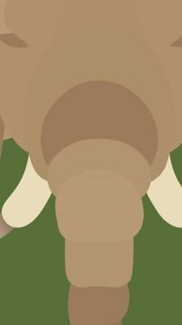 Animation of head of elephant with tusks, on green background