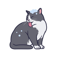 Obraz premium Gray cat licking itself clean after bath with soap bubbles 