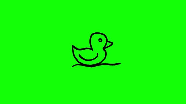 4K motion graphic animation of duck icon. Frame by frame animation of duck icon on chroma key green screen background.