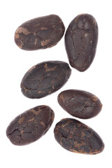 Cacao beans isolated on white background. Cocoa beans roasted used to make chocolate. Superfood. 