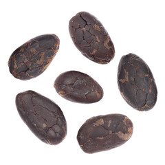 Cacao beans isolated on white background. Cocoa beans roasted used to make chocolate. Superfood. 