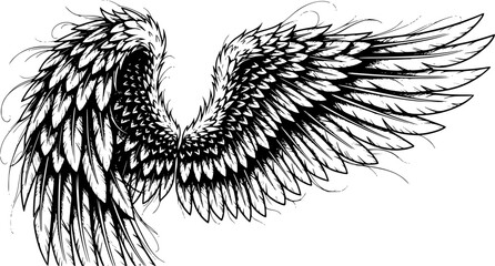Obraz premium angel wings, multiple variations, black and white illustration