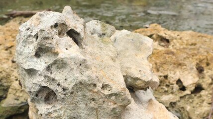 Close up picture of rock in the river