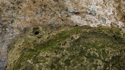 Close up picture of rock in the river
