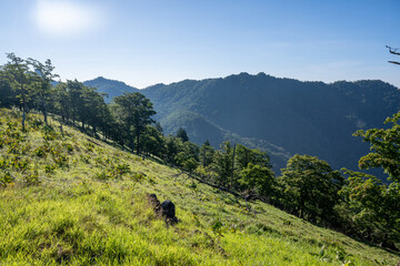 十津川の山々