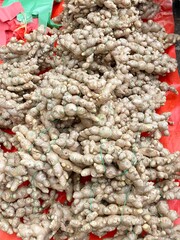 Ginger root or Zingiber officinale background. Stock photo
