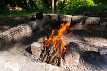 A fire for cooking meat in the forest.