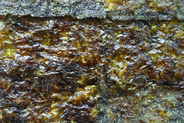 nori seaweed isolated on white background. Japanese food nori. Dry seaweed sheets.
