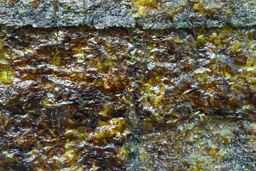 nori seaweed isolated on white background. Japanese food nori. Dry seaweed sheets.