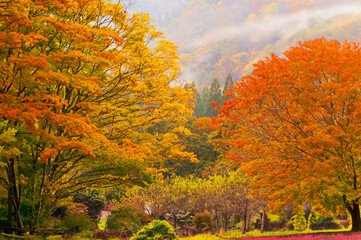 秋田県の抱き返り渓谷の秋景色