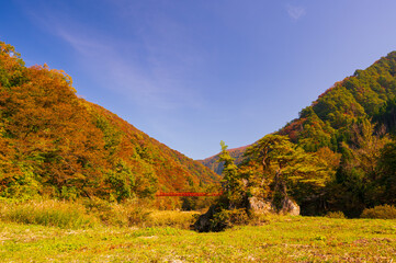 秋田県の抱き返り渓谷の秋景色