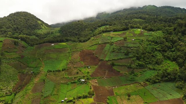 Steep foothill farms near Mount Apo form a vivid quilt of green and brown plots, dotted with small huts and bordered by dense forest as low clouds drift along the ridgeline.