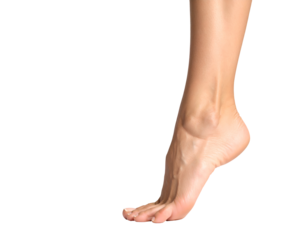 A gracefully arched human foot showcases natural beauty and elegant form in a poised stance.