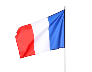 A vibrant tricolor flag proudly flutters on a sturdy pole, symbolizing national pride and unity