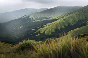 Obraz premium a serene landscape with rolling green hills and mountains