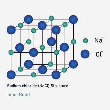 The infographic of sodium chloride (NaCl) structure present the ionic bond.