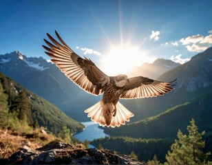 Fototapeta premium image of a bird, which is again spreading its wings