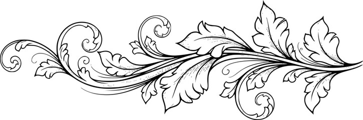 a black and white drawing of a leafy vine