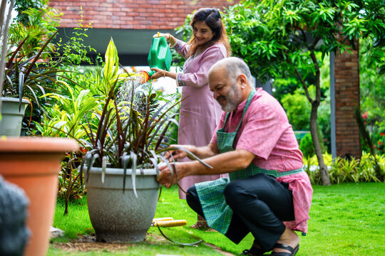 Retired Indian couple watering plants together in home garden, enjoying peaceful morning activity - Powered by Adobe